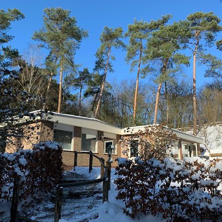 Willa Het Fazantenbosje Dalfsen Zewnętrze zdjęcie