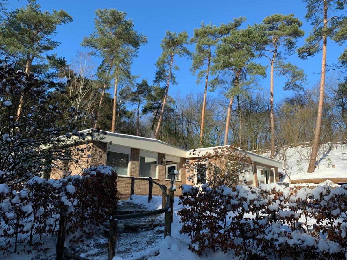 Willa Het Fazantenbosje Dalfsen Zewnętrze zdjęcie