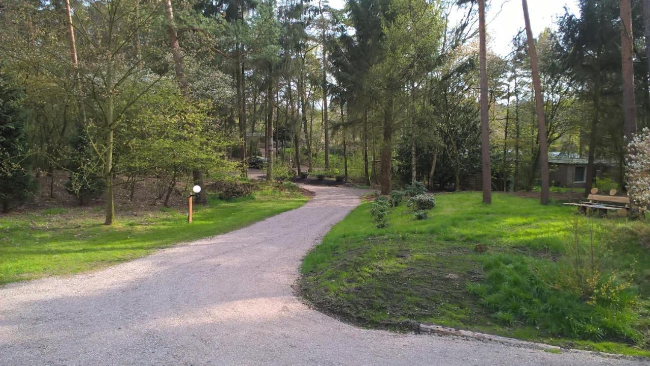 Willa Het Fazantenbosje Dalfsen Zewnętrze zdjęcie