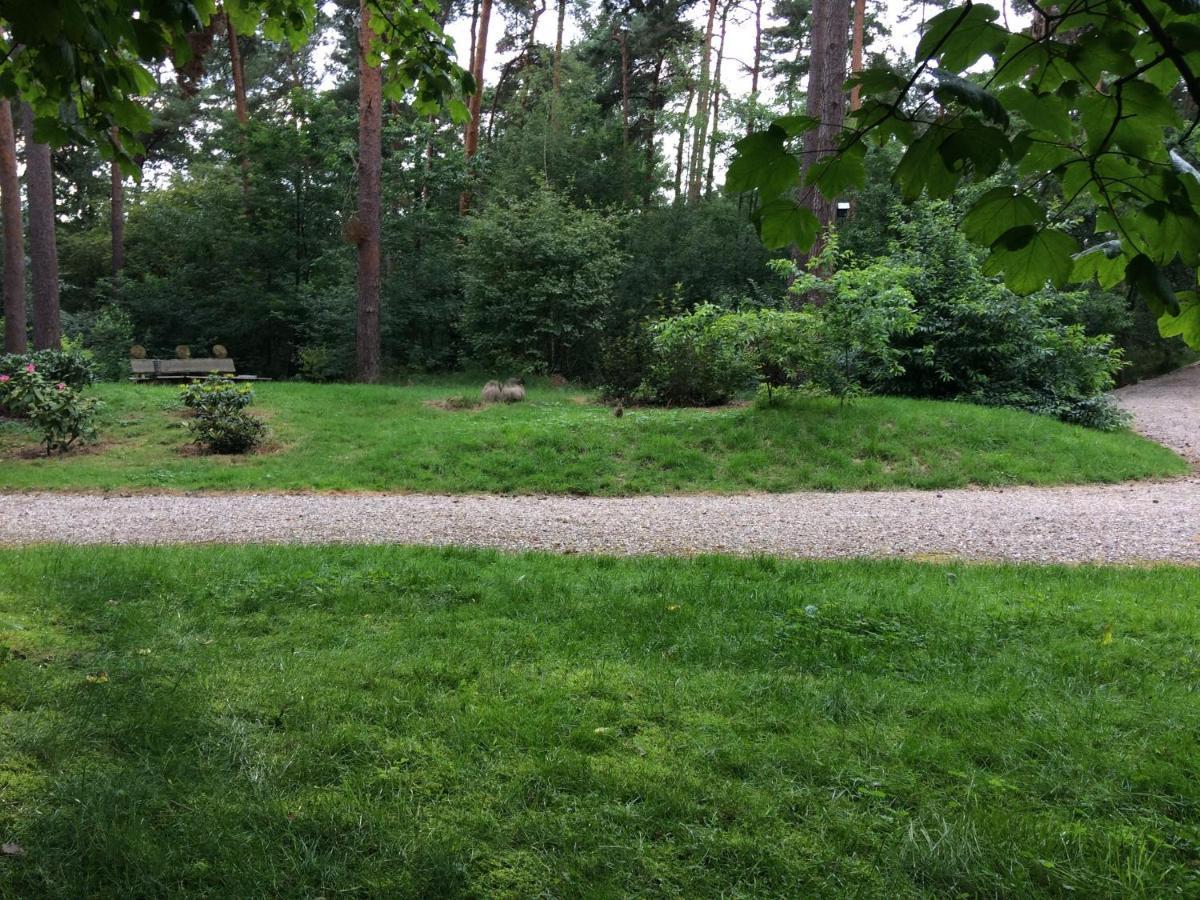 Willa Het Fazantenbosje Dalfsen Zewnętrze zdjęcie